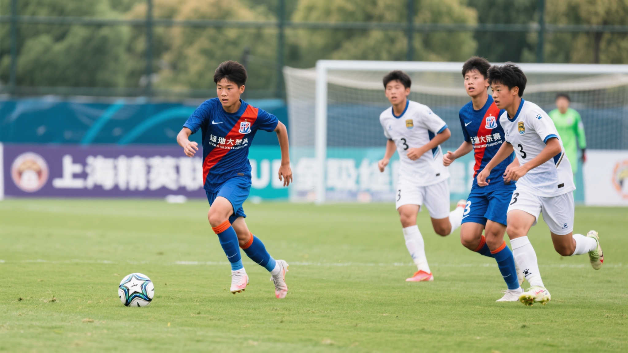 的训练计划 的训练计划